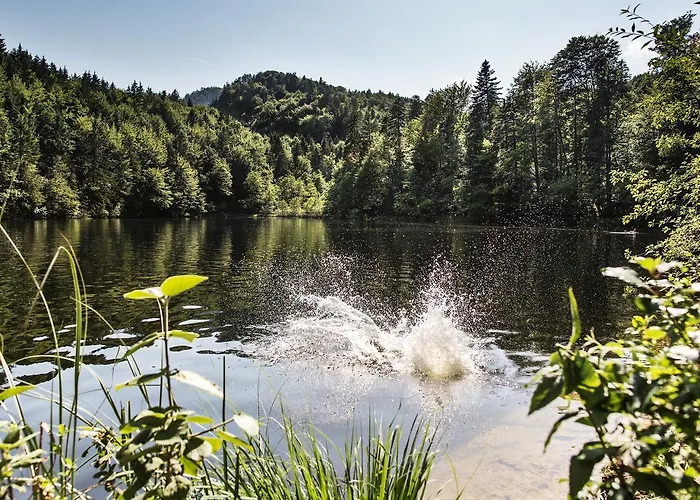 Unterwirt - Restaurant & 3*