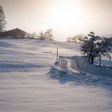 酒店 Unterwirt - Restaurant & 埃布斯镇